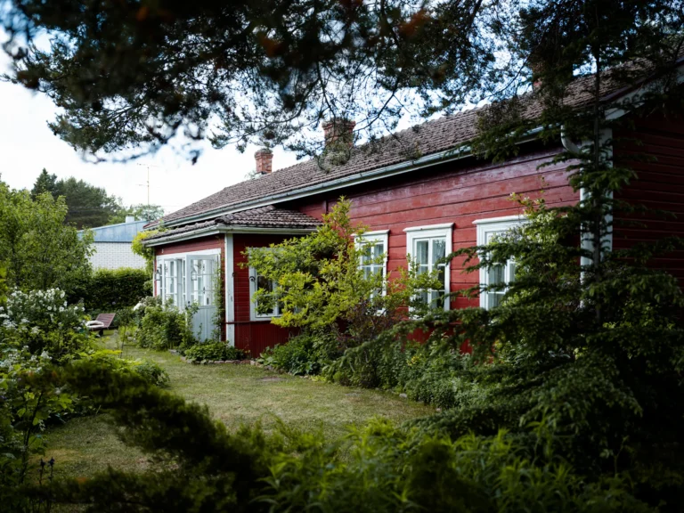 Kuninkaanlampi