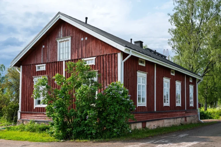 Nissas